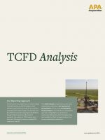 APA_2025-TCFDAnalysis_Cover