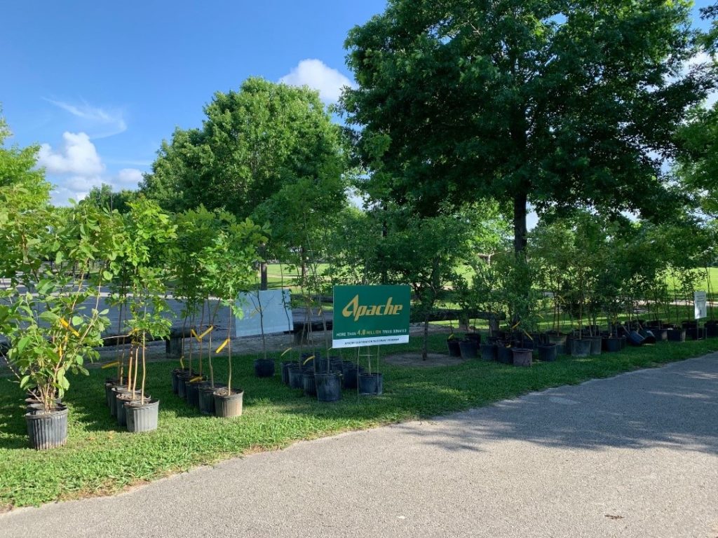 Restoring Communities Through Reforestation