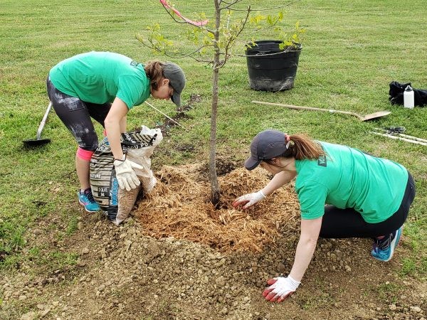 Restoring Communities Through Reforestation