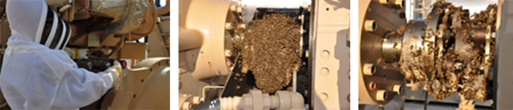 Protecting Bees & Maintaining Safe Operations