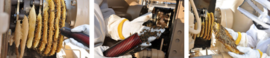 Protecting Bees & Maintaining Safe Operations