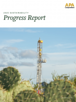 APA_2024-ProgressReport_Cover