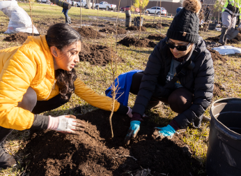 People planting trees.